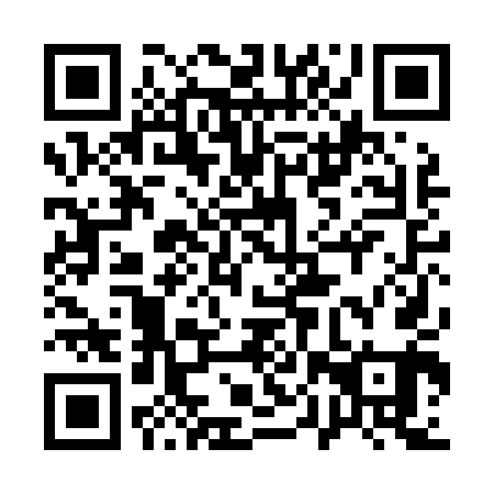 QR code for plate 10P L41