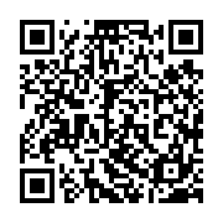 QR code for 10X637