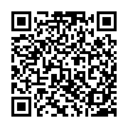QR code for plate 11A 381