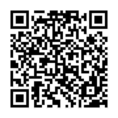 QR code for plate 11F 196