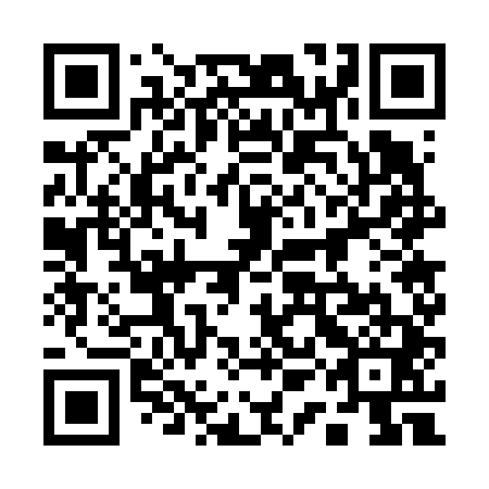QR code for plate 11G 641