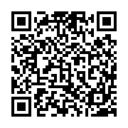 QR code for plate 11H 717