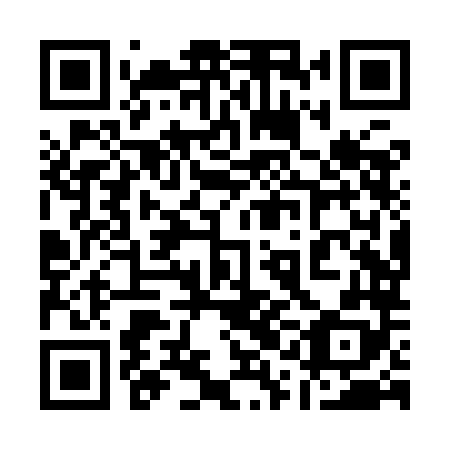 QR code for plate 11H YL8