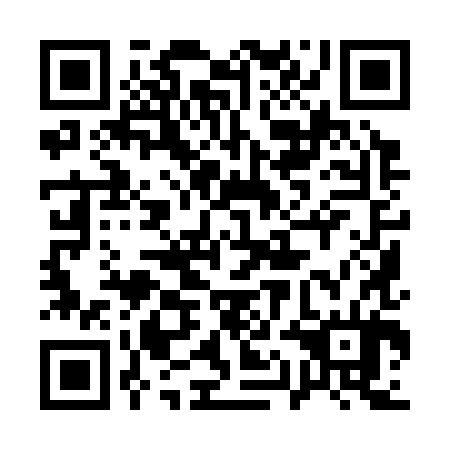 QR code for plate 11I 384