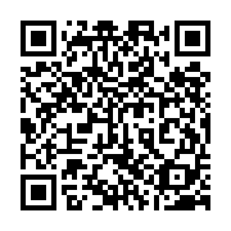 QR code for 11IEE9