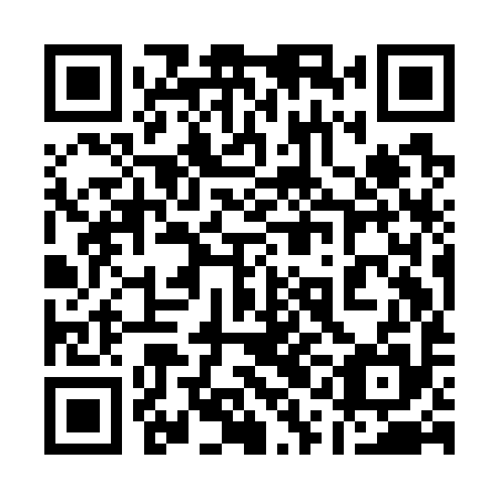 QR code for plate 11I G95
