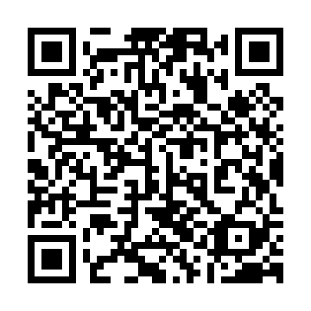 QR code for 11K P29