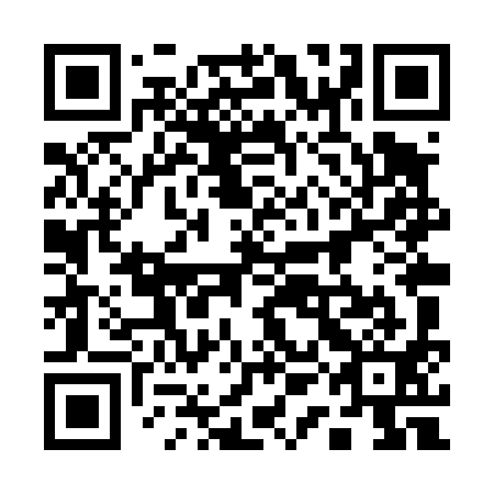QR code for plate 11L T91
