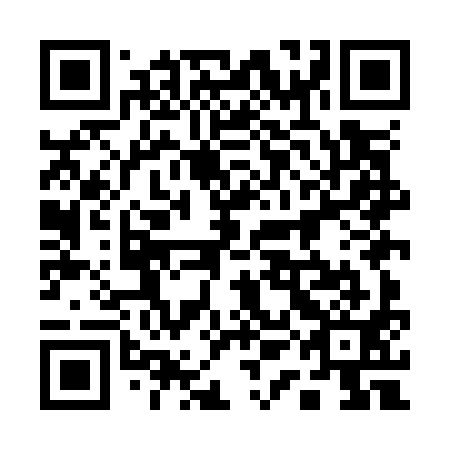 QR code for plate 11M O91