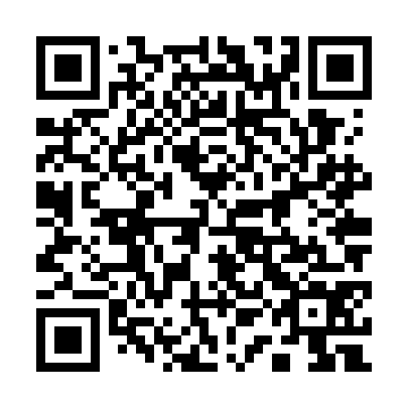 QR code for 11N WG4