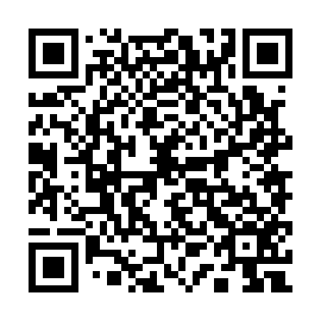 QR code for plate 11N 156