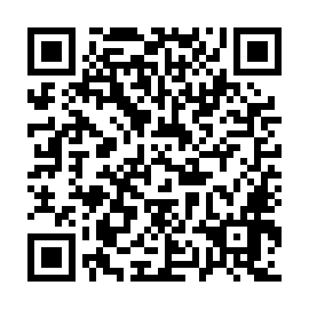 QR code for 11NPM6