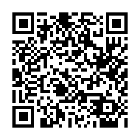 QR code for 11P 299