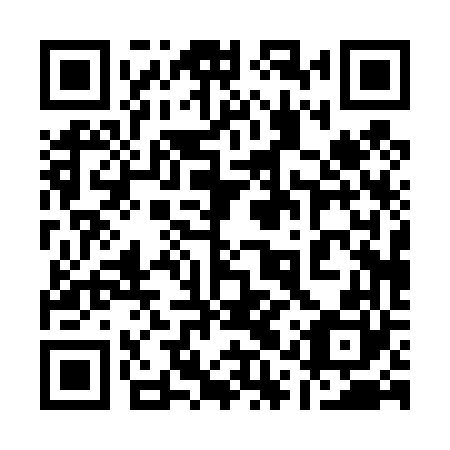 QR code for 11P 460