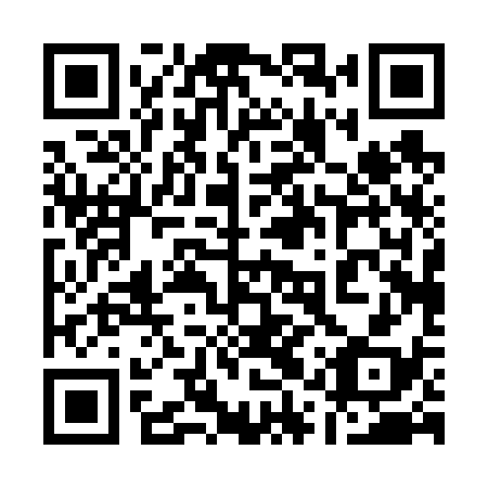 QR code for plate 11P 638