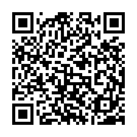QR code for plate 11P MG3