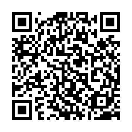QR code for plate 11P N51
