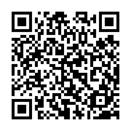 QR code for plate 11P V22