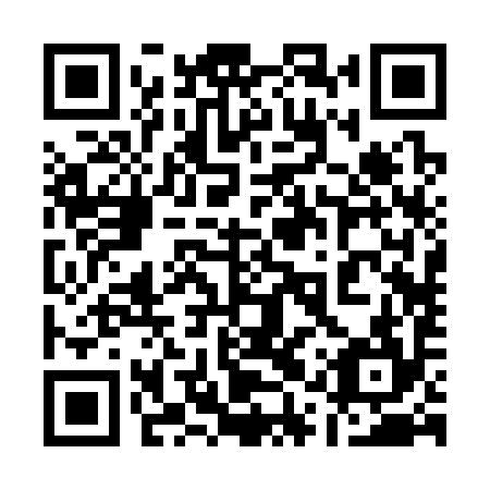 QR code for 11R 394