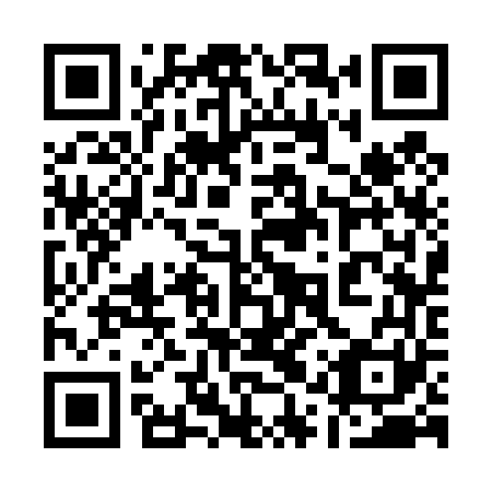 QR code for 11S 461