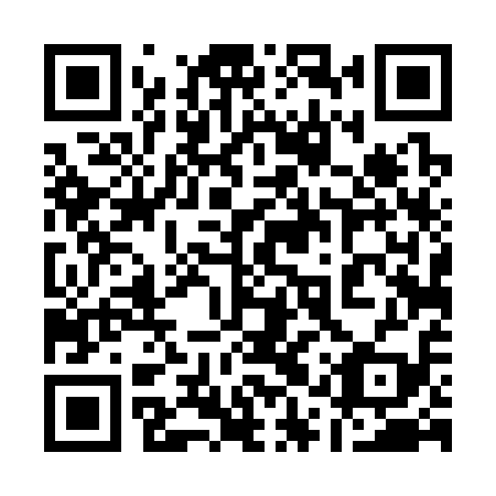 QR code for 11T 319