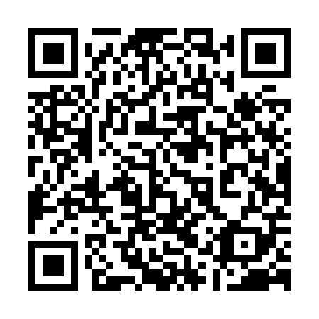 QR code for 11T Z09