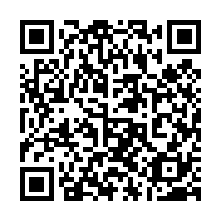 QR code for plate 11U 430