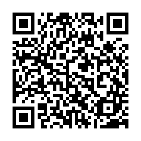QR code for plate 11V I43