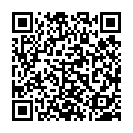 QR code for 11X638
