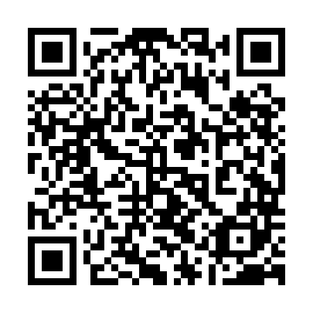 QR code for plate 11X AL0