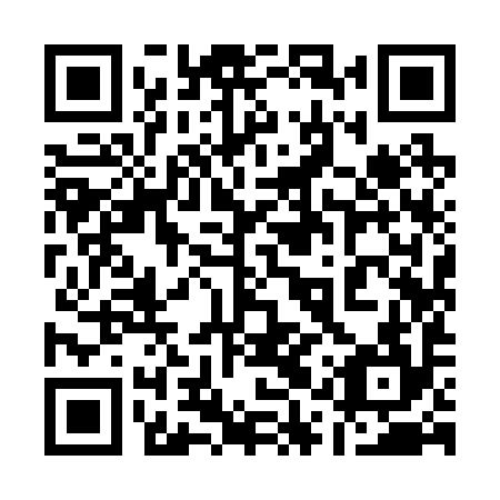 QR code for 11Y 294