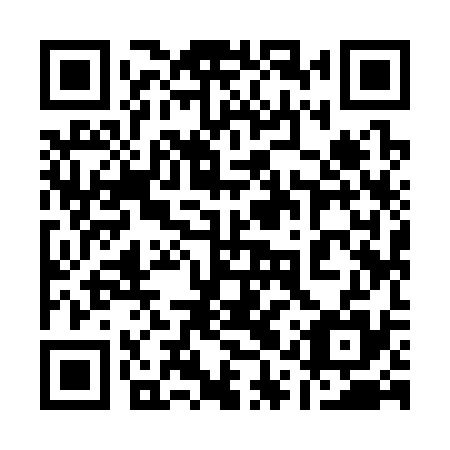 QR code for plate 11Y 335