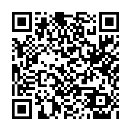 QR code for plate 11Y 699