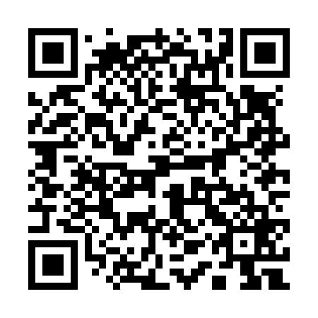 QR code for 11Z N69