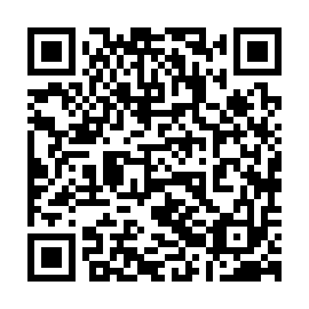 QR code for 12H 313