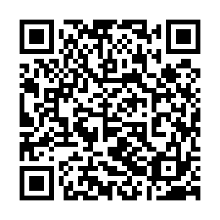 QR code for 12I 533