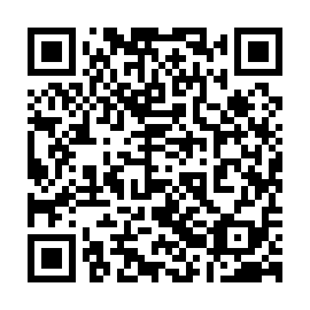 QR code for plate 12I 119