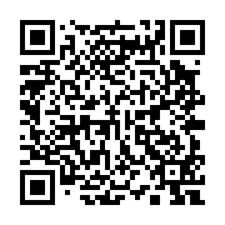 QR code for 12M P91