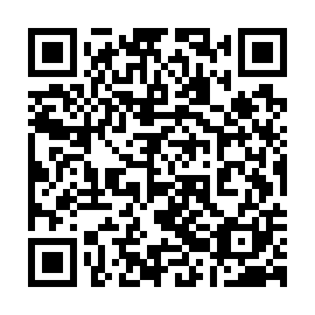 QR code for 12MG01