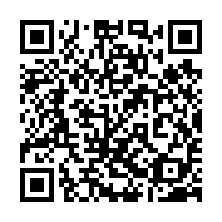QR code for 12S V99