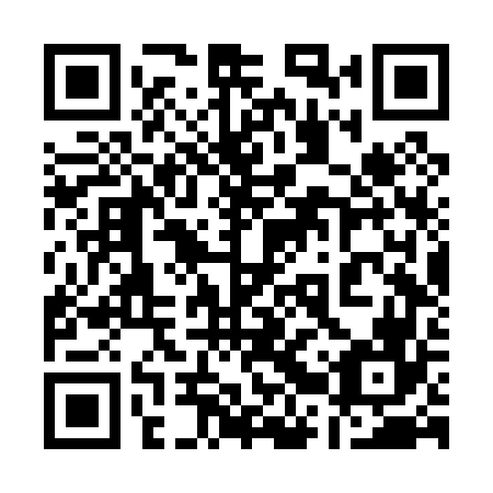 QR code for 12V P66