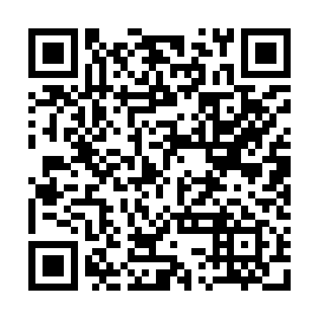 QR code for plate 13A 919