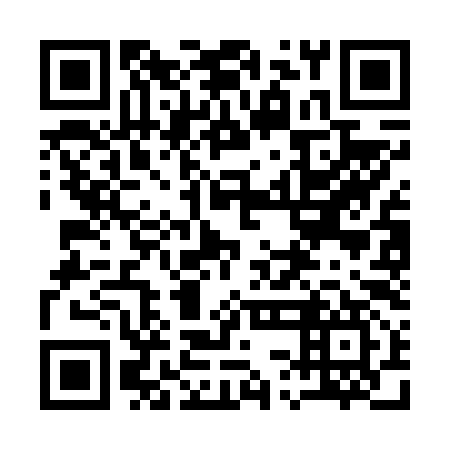 QR code for plate 13C F97