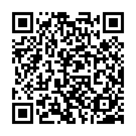 QR code for 13D P20