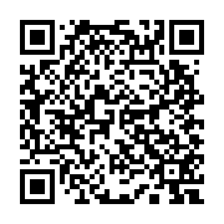 QR code for 13DG51