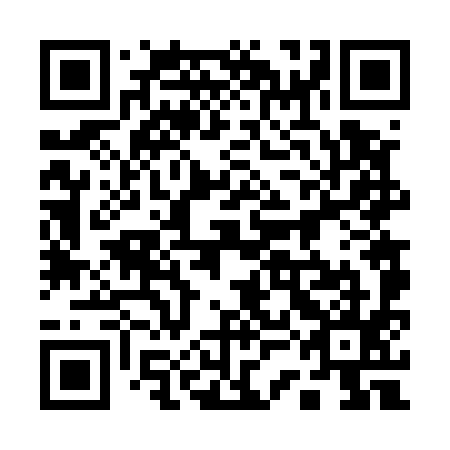 QR code for 13F595
