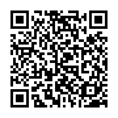 QR code for plate 13F N61