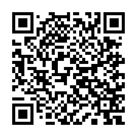 QR code for plate 13G DN3