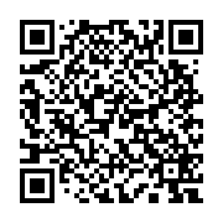 QR code for plate 13G G69