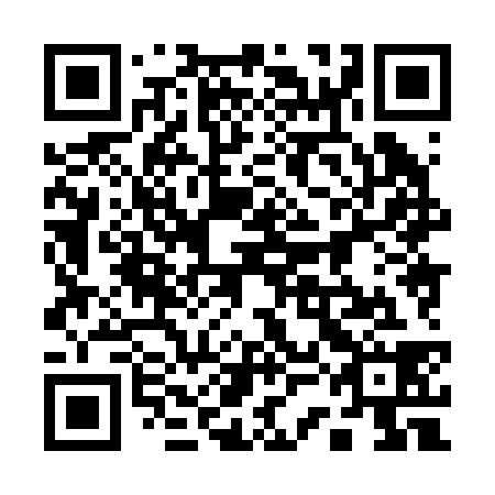 QR code for plate 13H 238